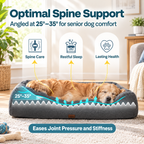 Orthopedic Comfort Dog Bed